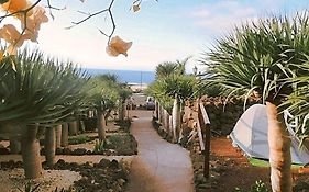 Agrocamping Invernaderito